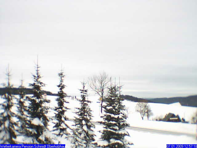 Webcam Holzhau am 07.01.2009 in Holzhau (Erzgebirge)