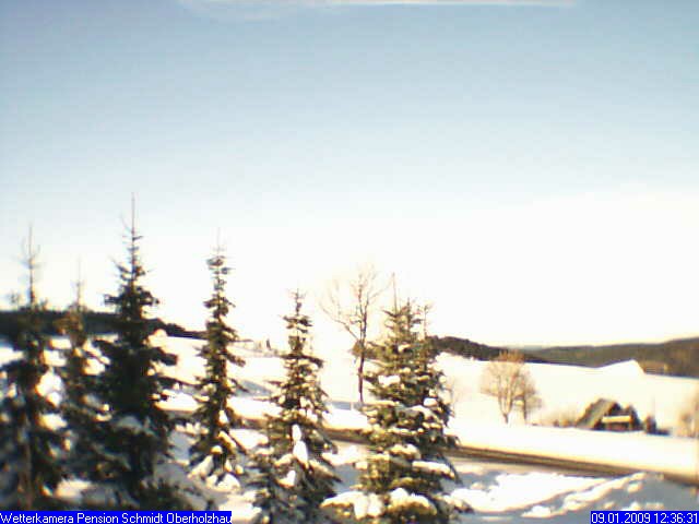 Webcam Holzhau am 09.01.2009 in Holzhau (Erzgebirge)