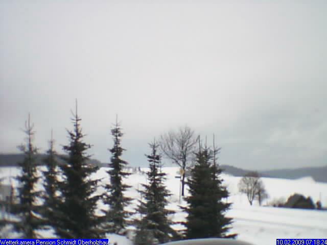 Webcam Holzhau am 10.02.2009 in Holzhau (Erzgebirge)