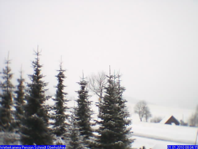 Webcam Holzhau am 01.01.2010 in Holzhau (Erzgebirge)