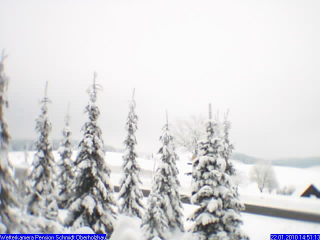 Webcam Holzhau am 22.01.2010 in Holzhau (Erzgebirge)