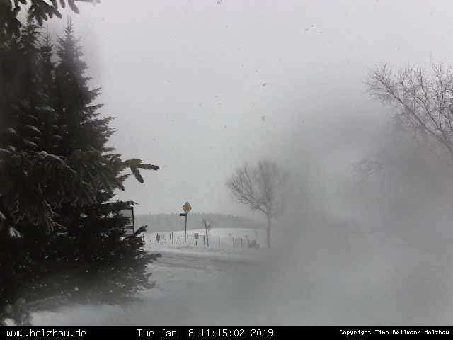 Webcam Holzhau am 08.01.2019 in Holzhau (Erzgebirge)