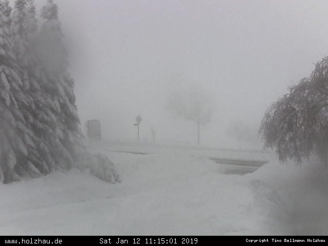 Webcam Holzhau am 12.01.2019 in Holzhau (Erzgebirge)