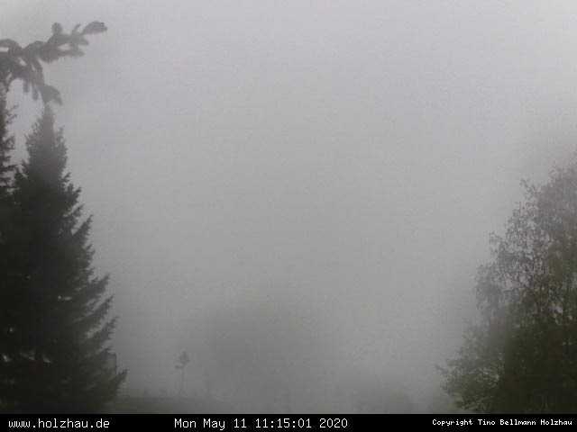 Webcam Holzhau am 11.05.2020 in Holzhau (Erzgebirge)