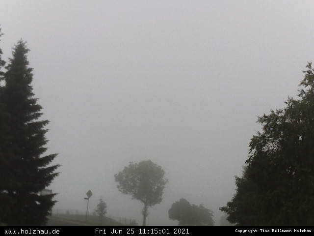 Webcam Holzhau am 25.06.2021 in Holzhau (Erzgebirge)