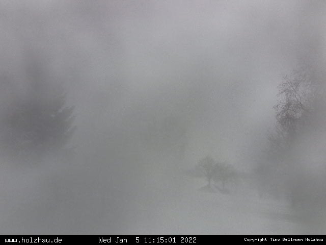 Webcam Holzhau am 05.01.2022 in Holzhau (Erzgebirge)