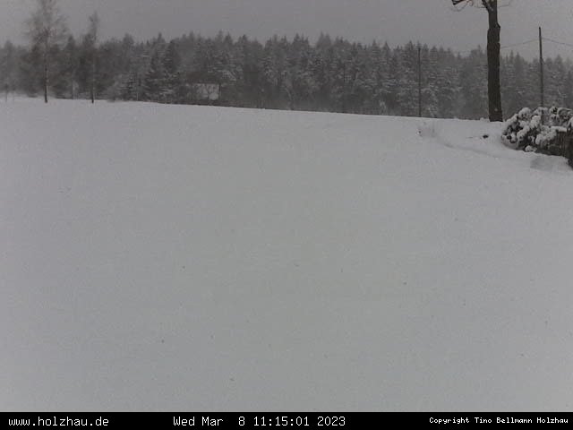 Webcam Holzhau am 08.03.2023 in Holzhau (Erzgebirge)