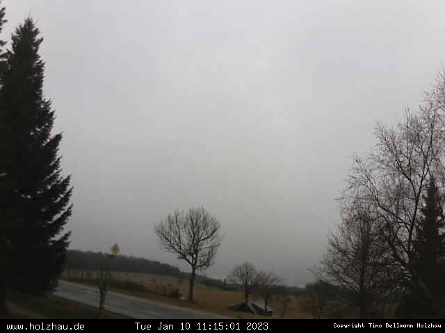 Webcam Holzhau am 10.01.2023 in Holzhau (Erzgebirge)