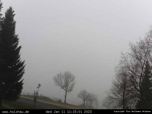 Webcam Holzhau am 11.01.2023 in Holzhau (Erzgebirge)