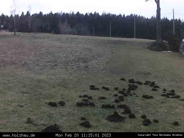 Webcam Holzhau am 20.02.2023 in Holzhau (Erzgebirge)