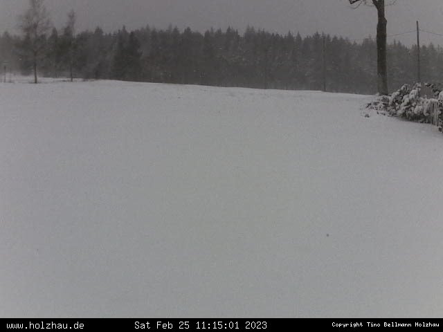 Webcam Holzhau am 25.02.2023 in Holzhau (Erzgebirge)