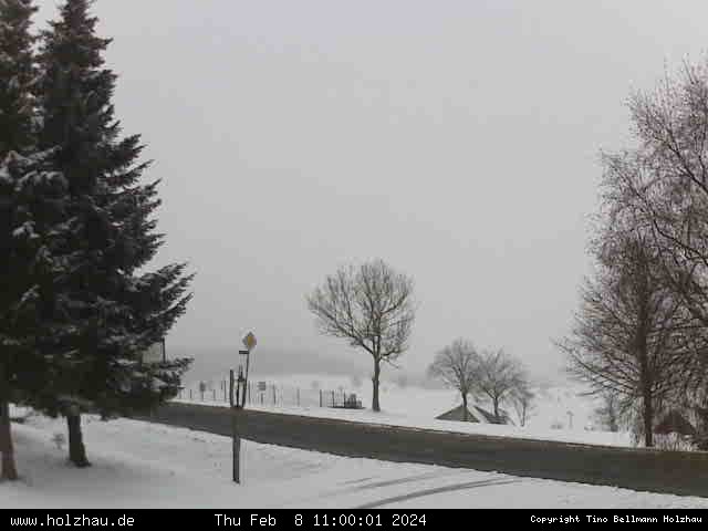 Webcam Holzhau am 08.02.2024 in Holzhau (Erzgebirge)