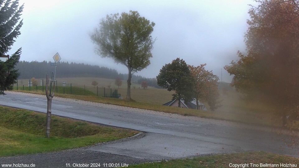 Webcam Holzhau am 11.10.2024 in Holzhau (Erzgebirge)