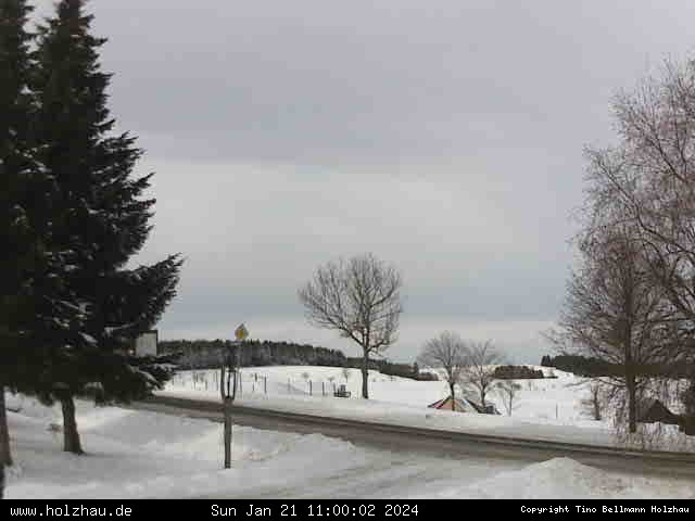 Webcam Holzhau am 21.01.2024 in Holzhau (Erzgebirge)