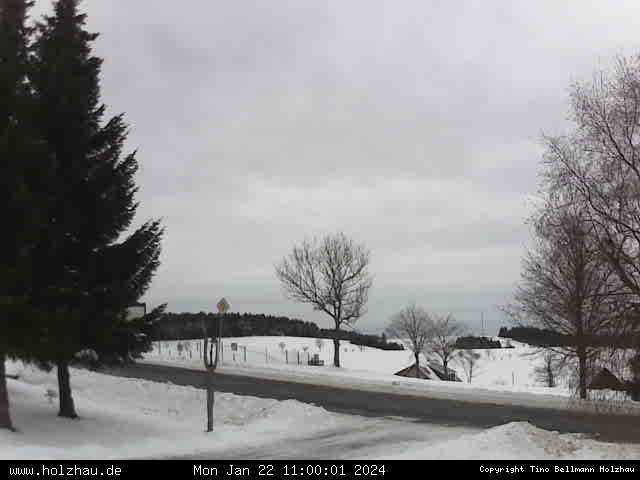 Webcam Holzhau am 22.01.2024 in Holzhau (Erzgebirge)